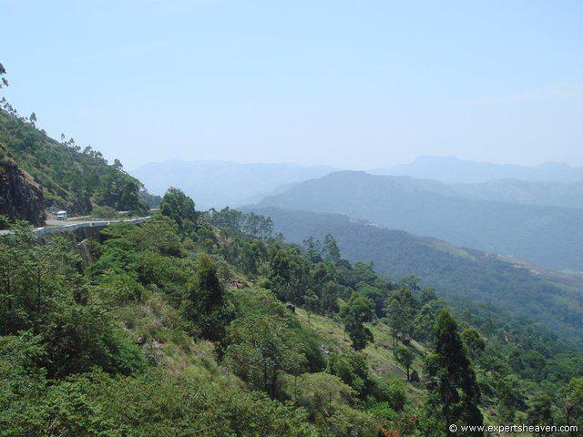 DSC02411