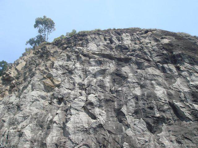 DSC02414