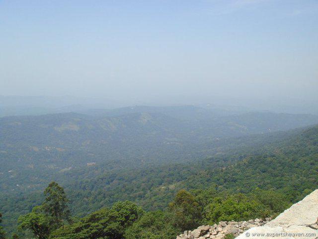 DSC02419