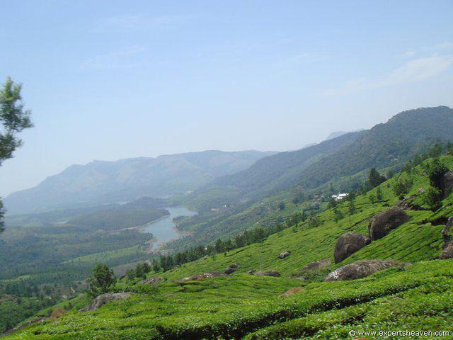 DSC02430