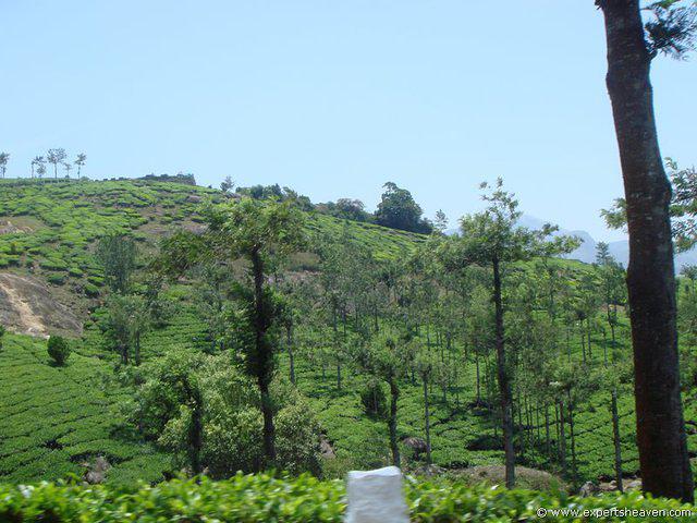 DSC02432