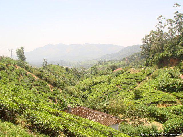 DSC02437