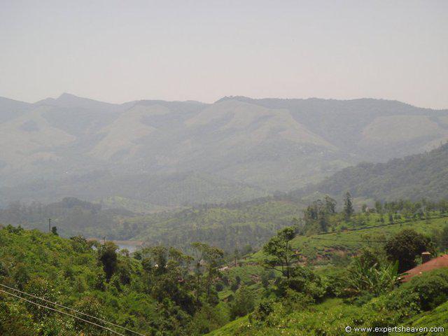 DSC02438