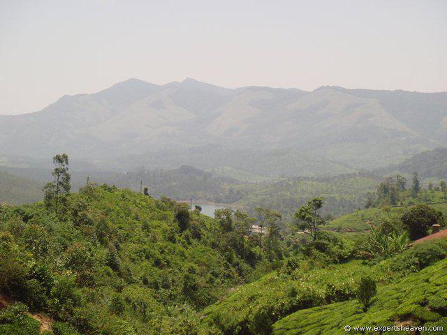 DSC02439
