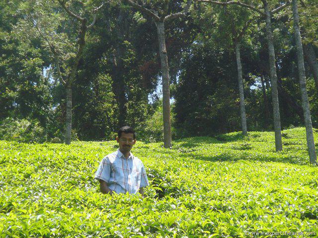 DSC02450