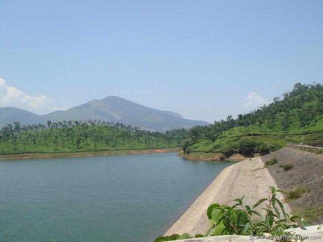 DSC02464