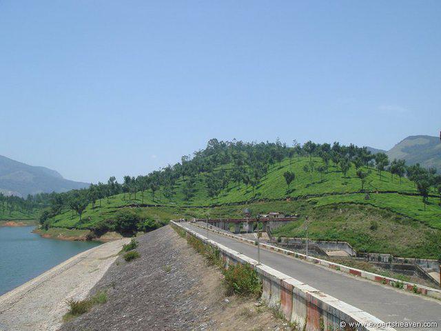 DSC02468
