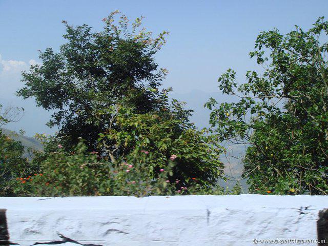 DSC02478