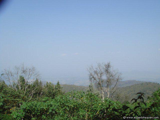 DSC02480
