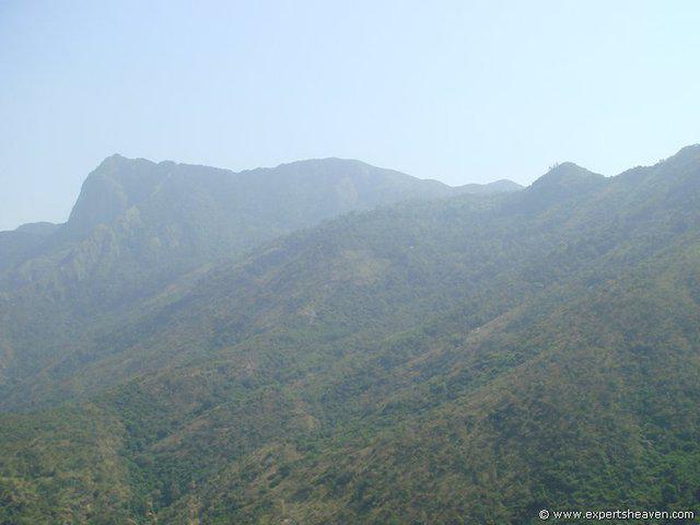 DSC02487