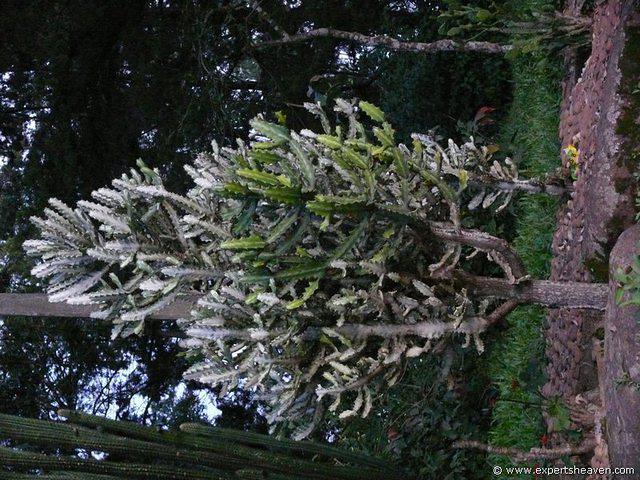 P1000353