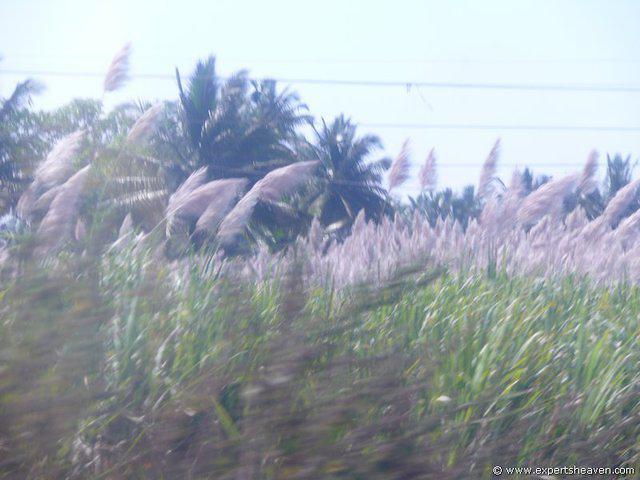 P1000401