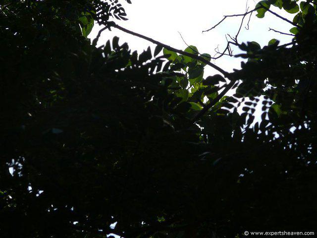 P1000435