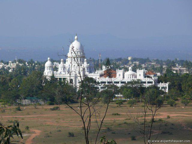 P1000441