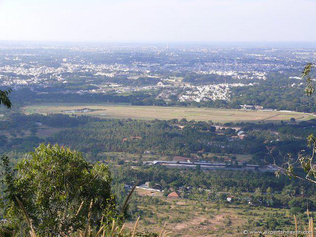 P1000445