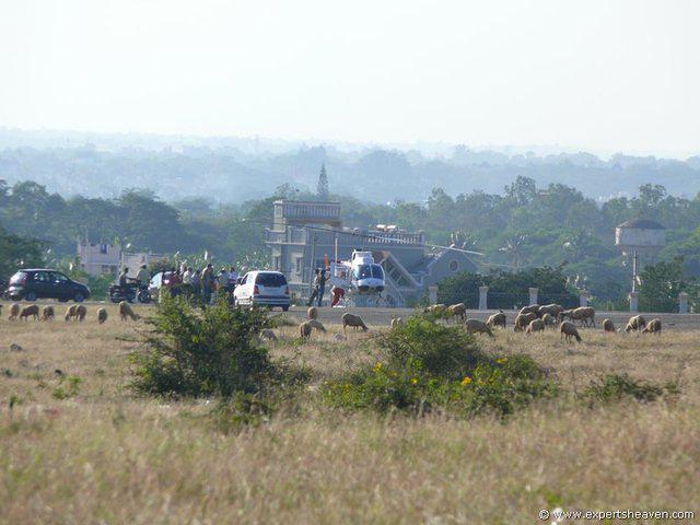 P1000461