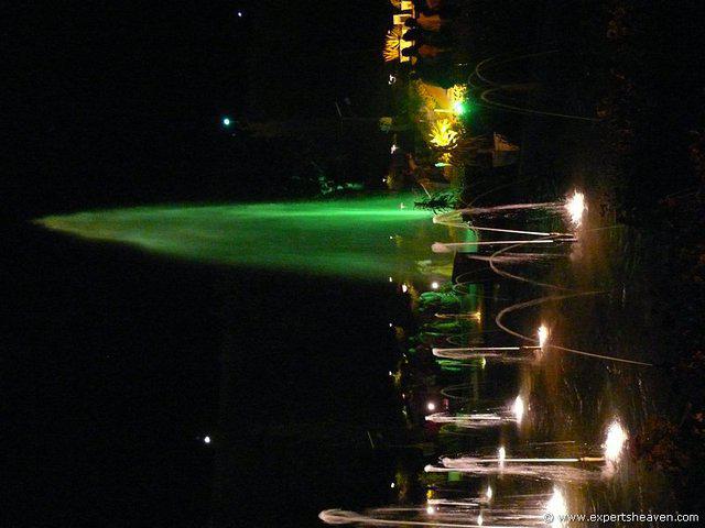 P1000503