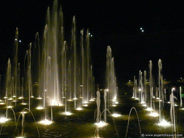P1000505