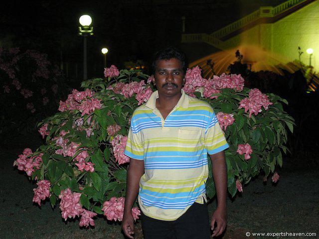 P1000566