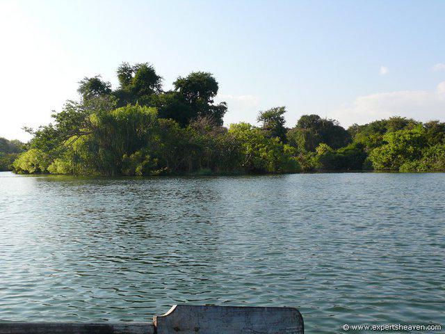P1000684
