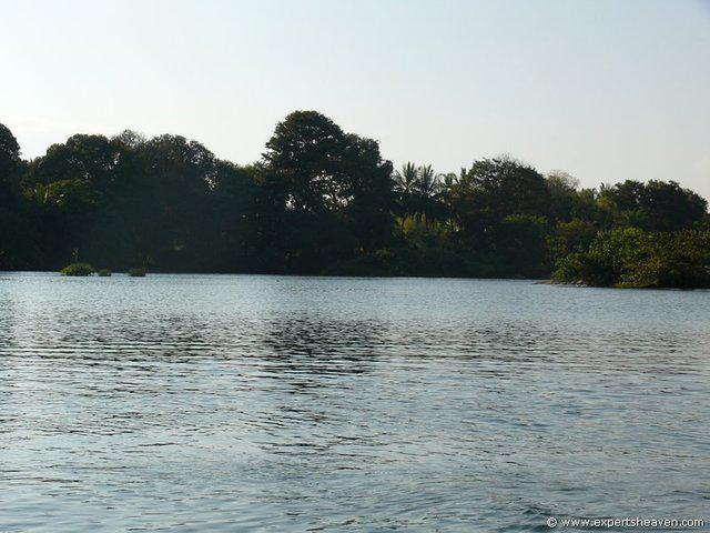 P1000686