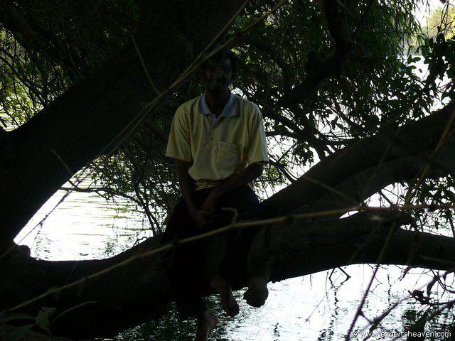 P1000726