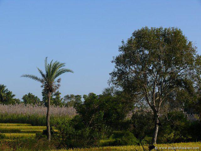 P1000750