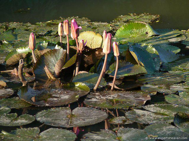 P1000766