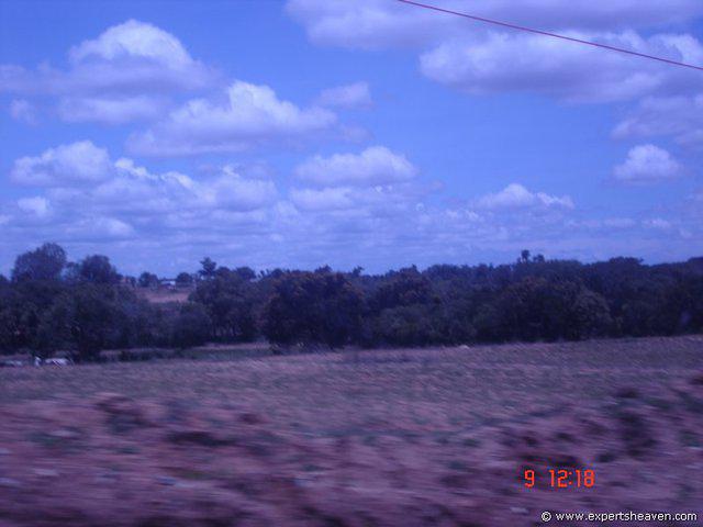 DSC00679