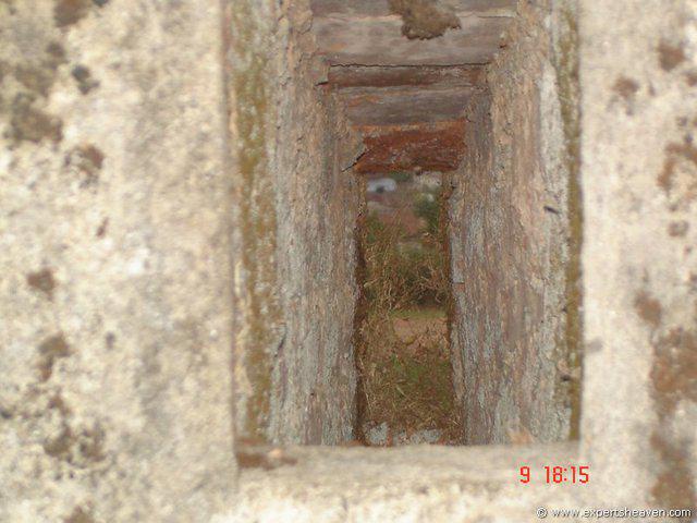 DSC00700