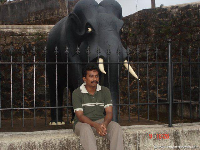 DSC00711