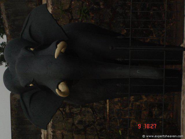 DSC00712