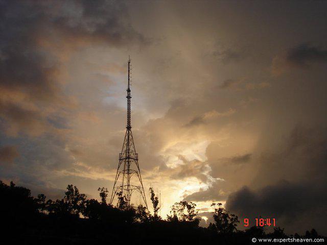 DSC00717