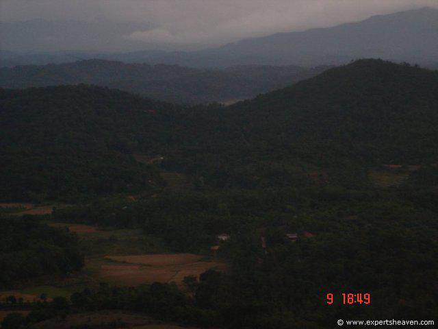 DSC00724