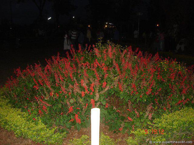 DSC00748