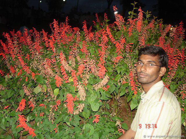 DSC00752