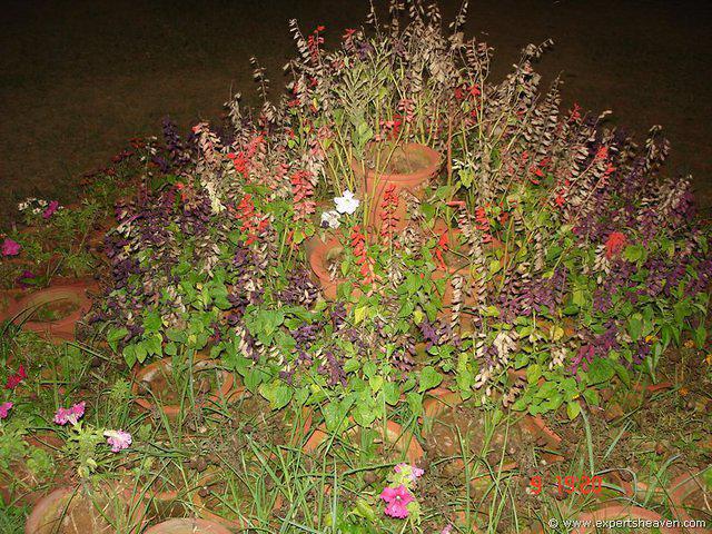 DSC00764