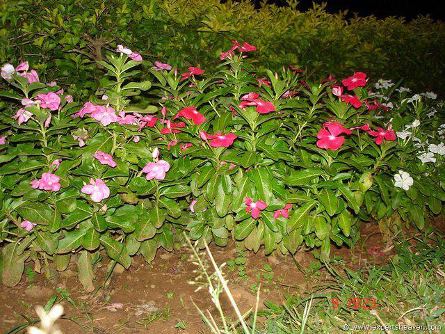 DSC00765