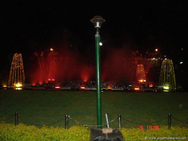 DSC00771