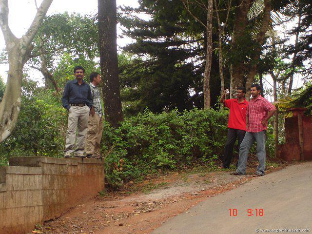 DSC00800