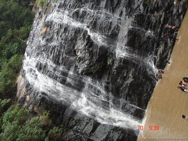 DSC00810