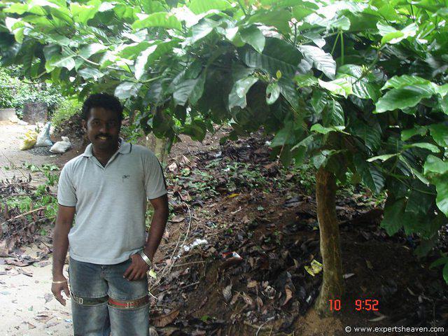 DSC00825