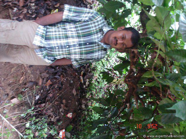 DSC00826