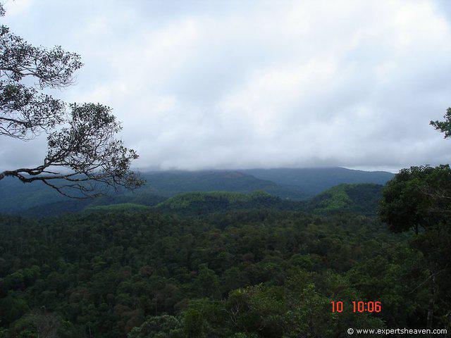DSC00832