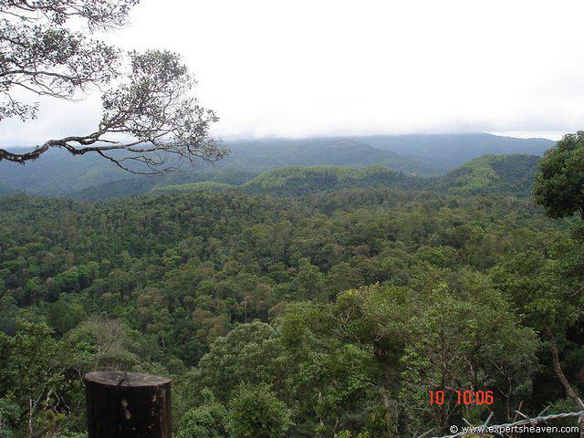 DSC00833