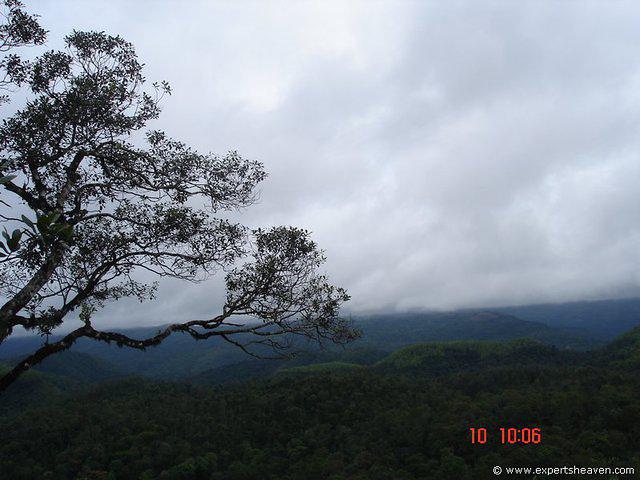 DSC00834