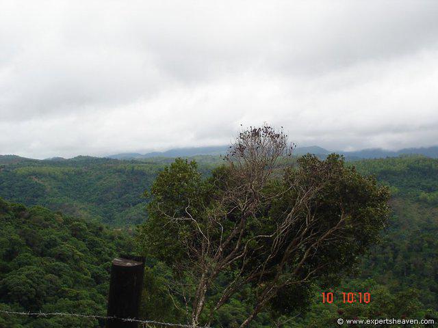 DSC00844