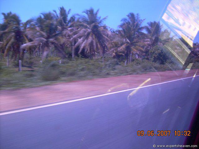 DSCN1723
