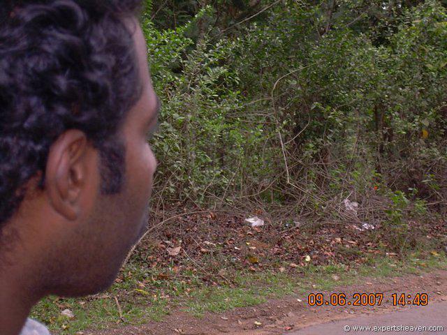 DSCN1739
