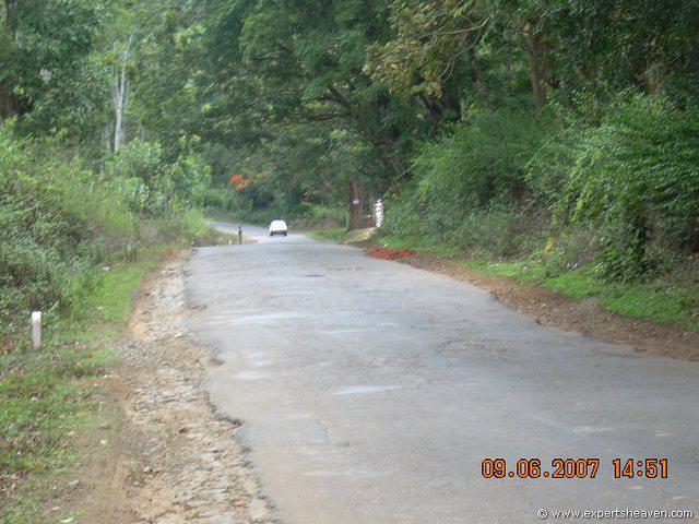 DSCN1742